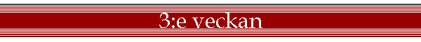 3:e veckan