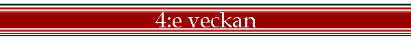 4:e veckan