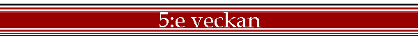 5:e veckan