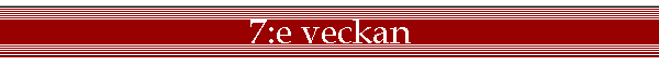 7:e veckan